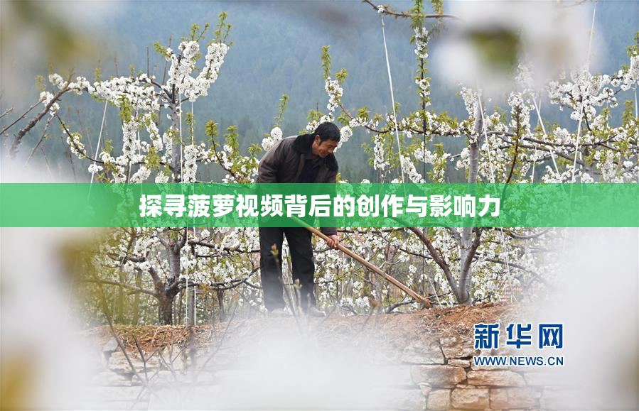 探寻菠萝视频背后的创作与影响力