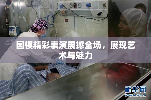 国模精彩表演震撼全场，展现艺术与魅力