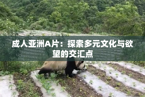 成人亚洲A片：探索多元文化与欲望的交汇点