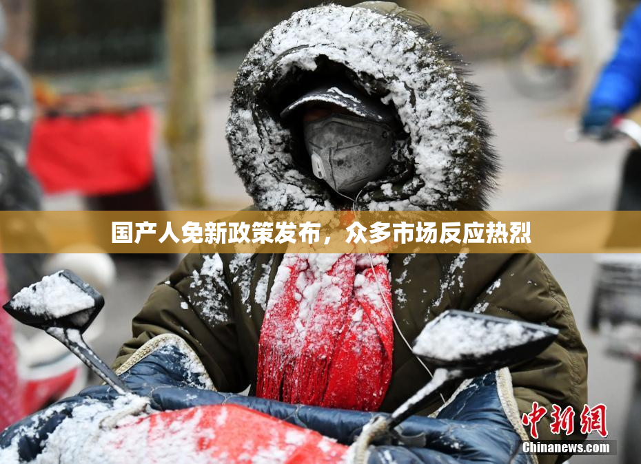 国产人免新政策发布，众多市场反应热烈