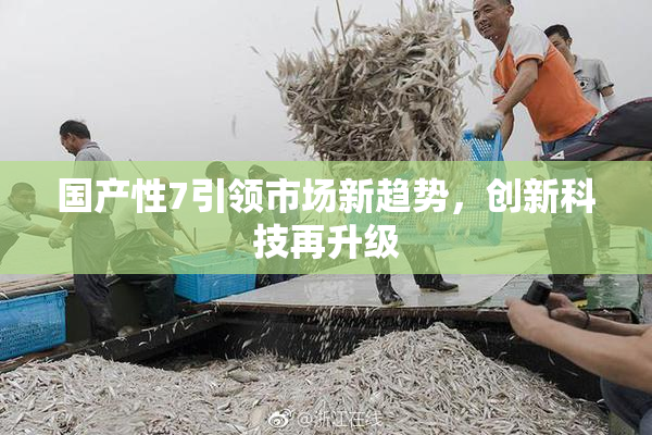 国产性7引领市场新趋势，创新科技再升级