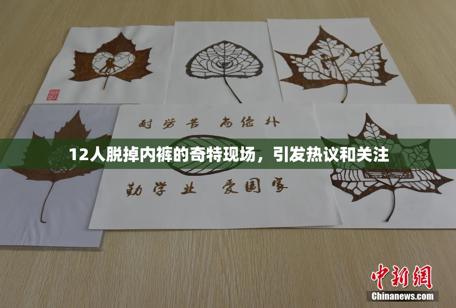 12人脱掉内裤的奇特现场，引发热议和关注