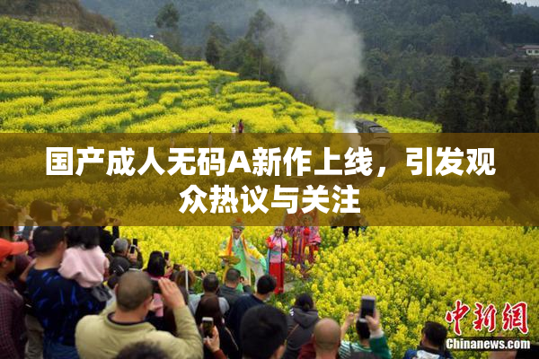 国产成人无码A新作上线，引发观众热议与关注