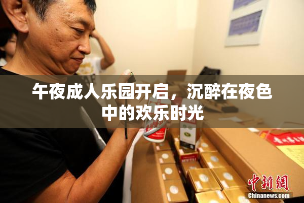 午夜成人乐园开启，沉醉在夜色中的欢乐时光