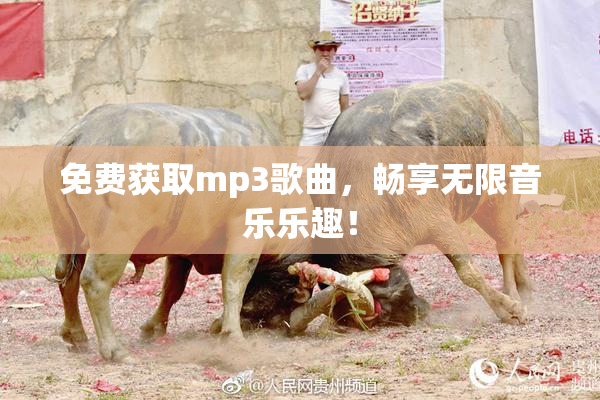 免费获取mp3歌曲，畅享无限音乐乐趣！