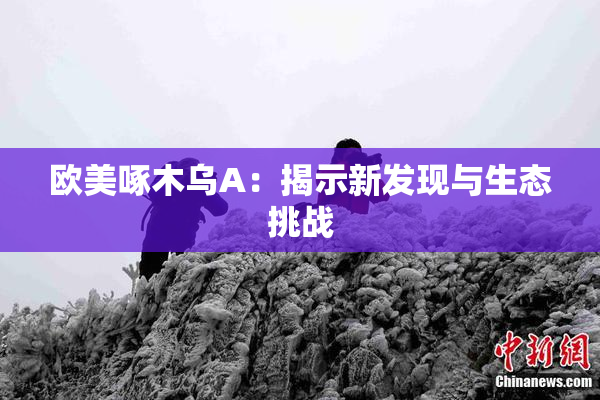 欧美啄木乌A：揭示新发现与生态挑战