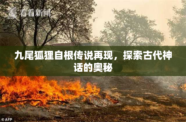 九尾狐狸自根传说再现，探索古代神话的奥秘