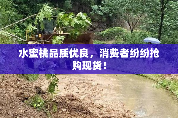 水蜜桃品质优良，消费者纷纷抢购现货！