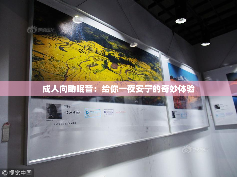 成人向助眠音：给你一夜安宁的奇妙体验