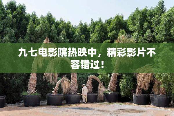 九七电影院热映中，精彩影片不容错过！