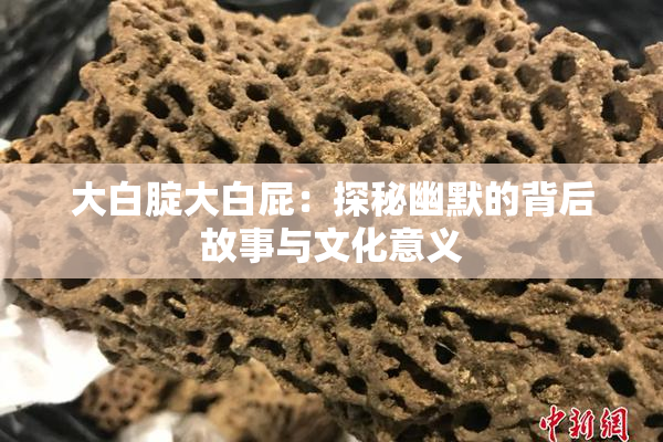 大白腚大白屁：探秘幽默的背后故事与文化意义