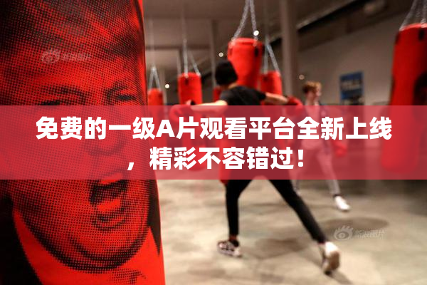 免费的一级A片观看平台全新上线，精彩不容错过！