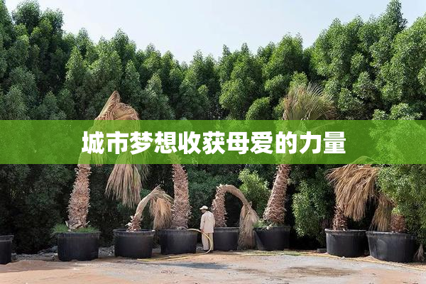 城市梦想收获母爱的力量