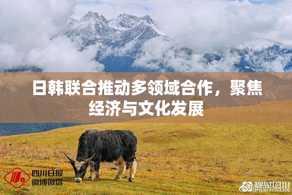 日韩联合推动多领域合作，聚焦经济与文化发展