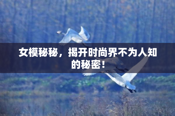 女模秘秘，揭开时尚界不为人知的秘密！