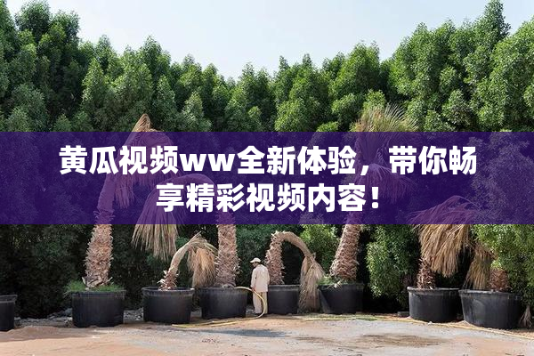 黄瓜视频ww全新体验，带你畅享精彩视频内容！