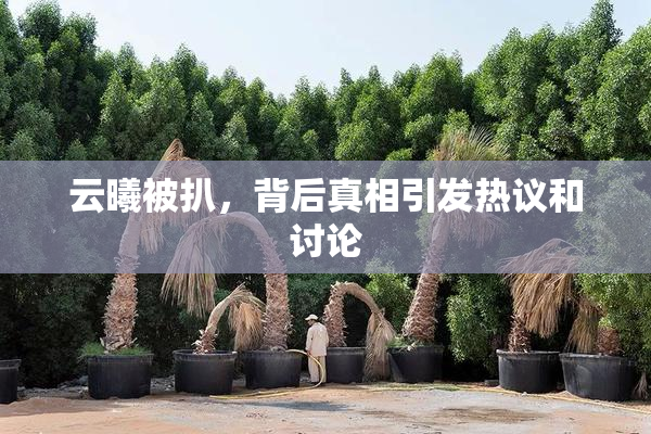 云曦被扒，背后真相引发热议和讨论