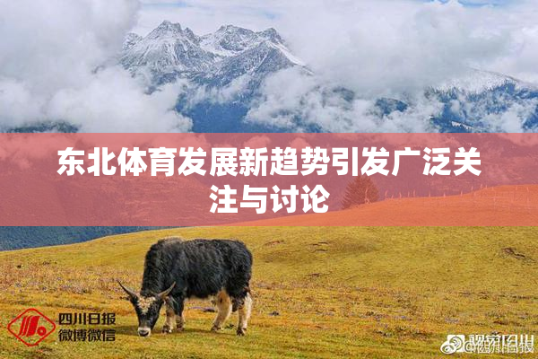 东北体育发展新趋势引发广泛关注与讨论