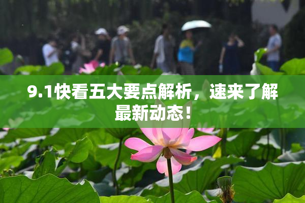 9.1快看五大要点解析，速来了解最新动态！