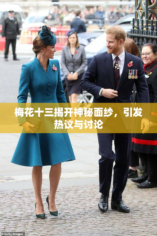 梅花十三揭开神秘面纱，引发热议与讨论