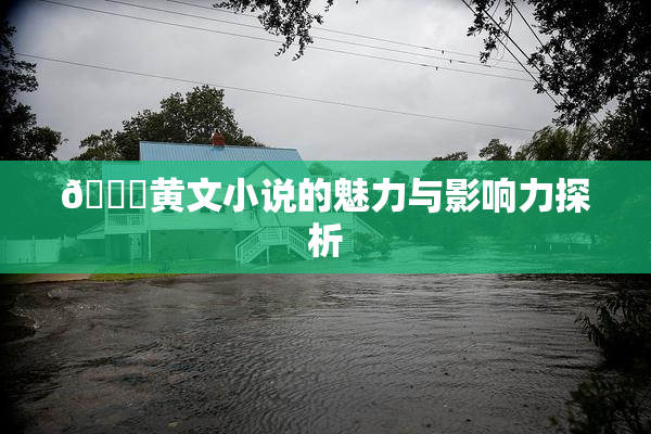 🔞黄文小说的魅力与影响力探析