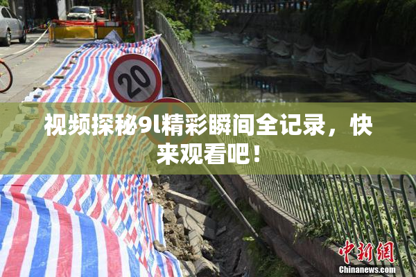 视频探秘9l精彩瞬间全记录，快来观看吧！