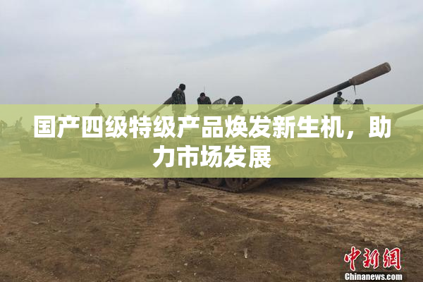 国产四级特级产品焕发新生机，助力市场发展