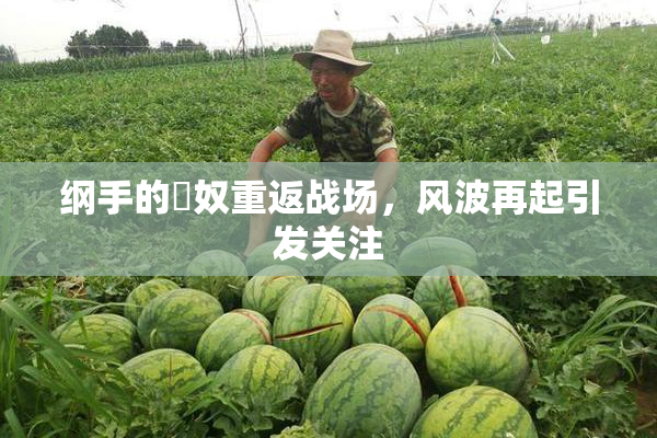 纲手的婬奴重返战场，风波再起引发关注
