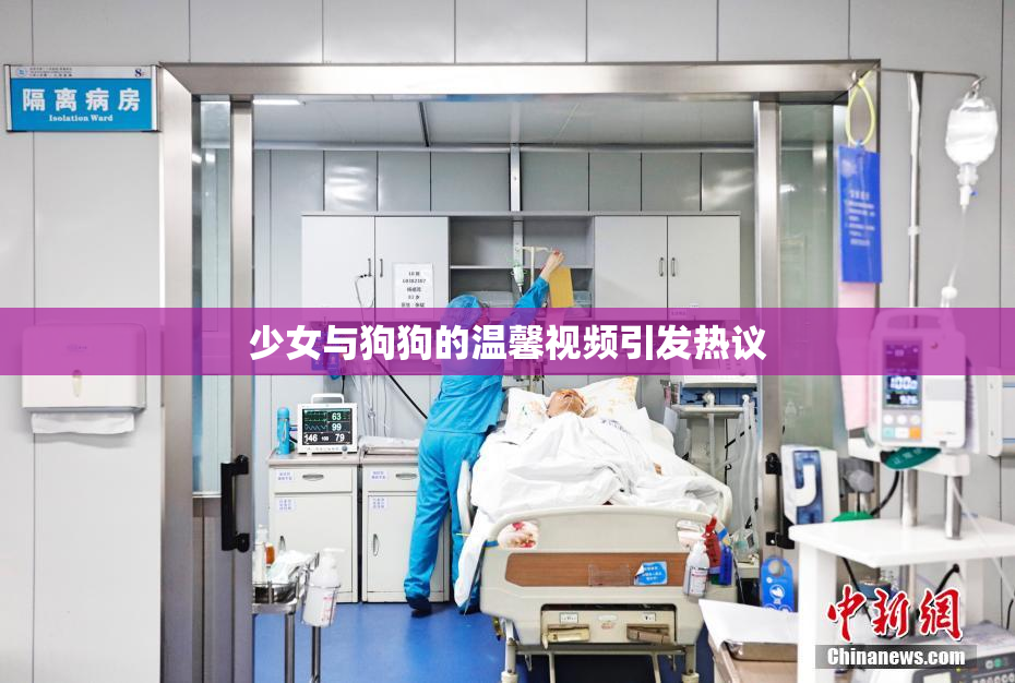 少女与狗狗的温馨视频引发热议