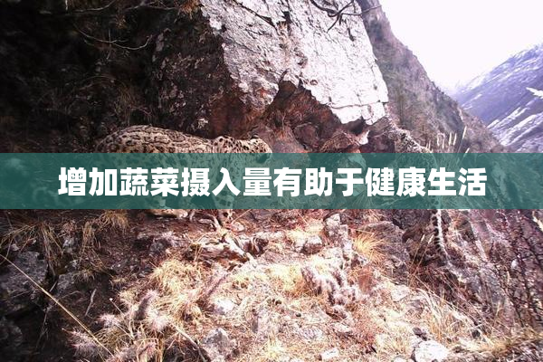 增加蔬菜摄入量有助于健康生活