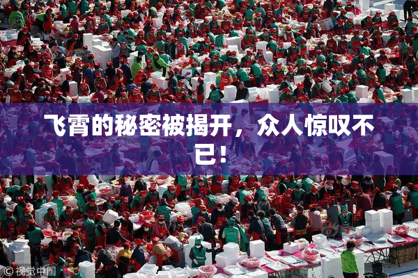 飞霄的秘密被揭开，众人惊叹不已！