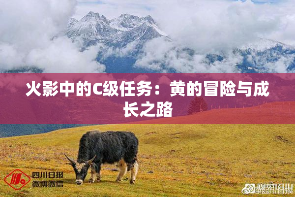 火影中的C级任务：黄的冒险与成长之路