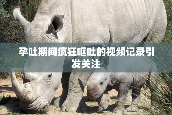 孕吐期间疯狂呕吐的视频记录引发关注