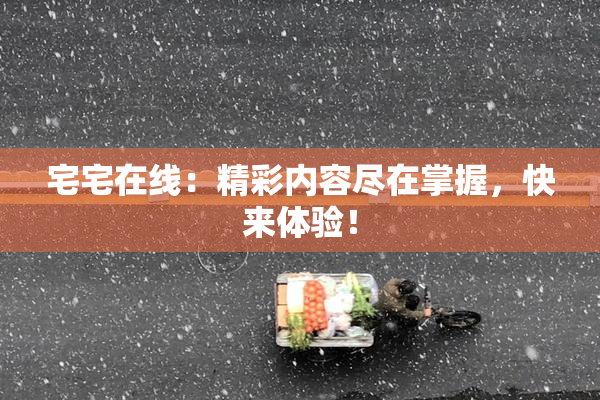 宅宅在线：精彩内容尽在掌握，快来体验！