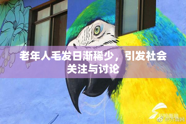 老年人毛发日渐稀少，引发社会关注与讨论