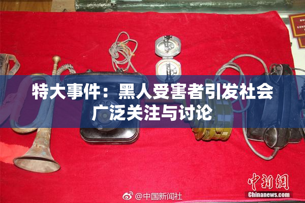 特大事件：黑人受害者引发社会广泛关注与讨论