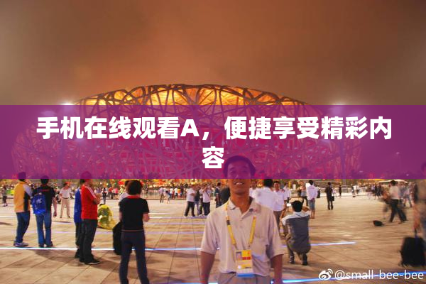 手机在线观看A，便捷享受精彩内容