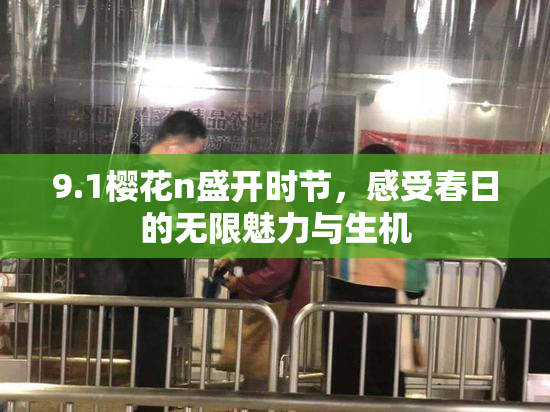 9.1樱花n盛开时节，感受春日的无限魅力与生机