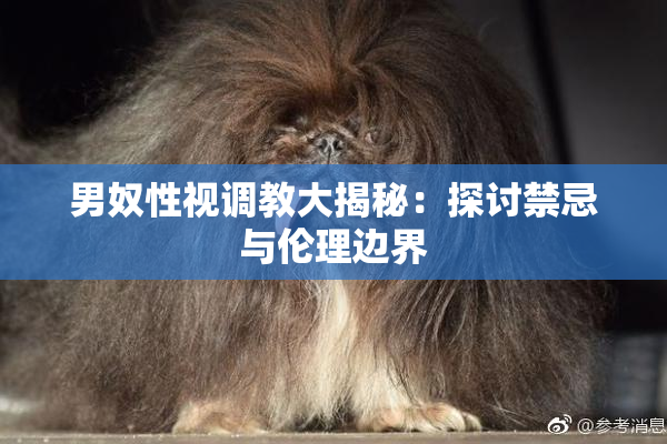 男奴性视调教大揭秘：探讨禁忌与伦理边界