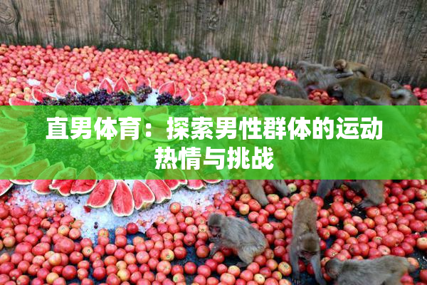 直男体育：探索男性群体的运动热情与挑战