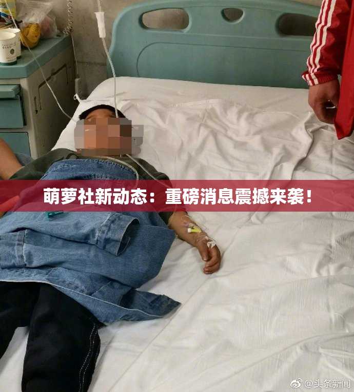 萌萝社新动态：重磅消息震撼来袭！