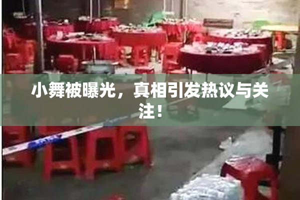 小舞被曝光，真相引发热议与关注！