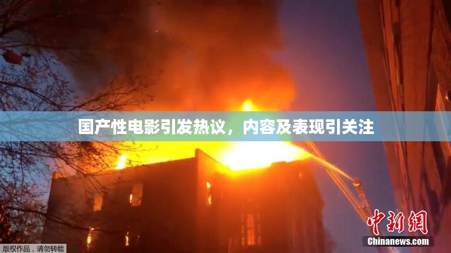 国产性电影引发热议，内容及表现引关注