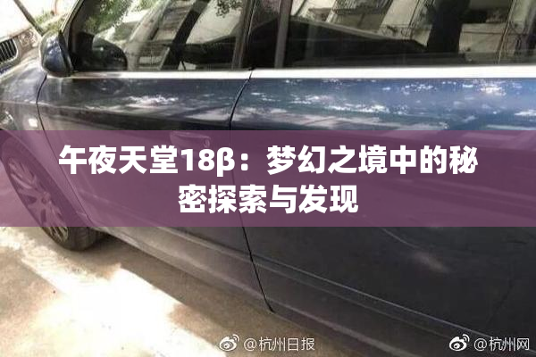 午夜天堂18β：梦幻之境中的秘密探索与发现