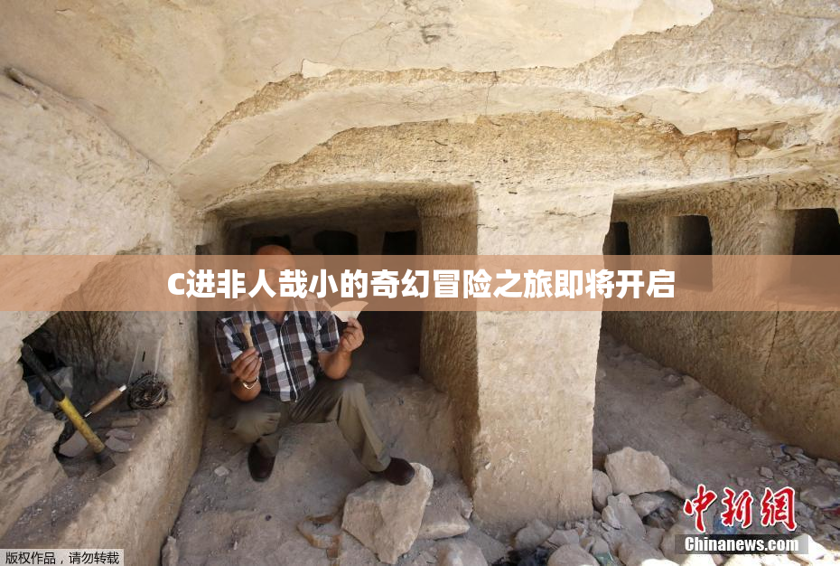C进非人哉小的奇幻冒险之旅即将开启