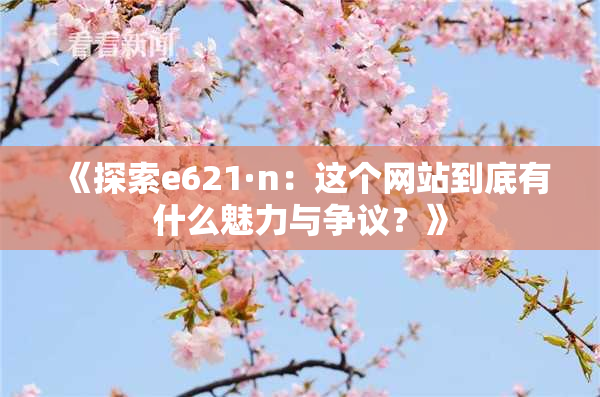 《探索e621·n：这个网站到底有什么魅力与争议？》