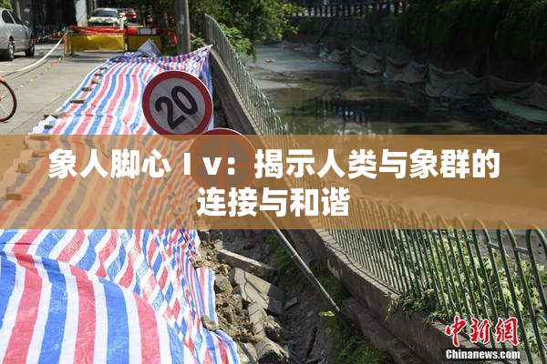 象人脚心Ⅰv：揭示人类与象群的连接与和谐