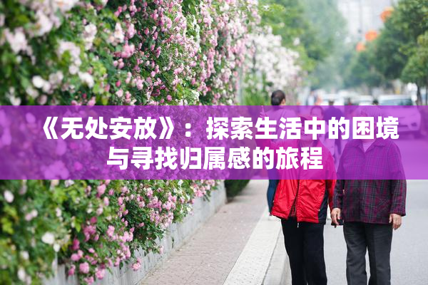 《无处安放》：探索生活中的困境与寻找归属感的旅程