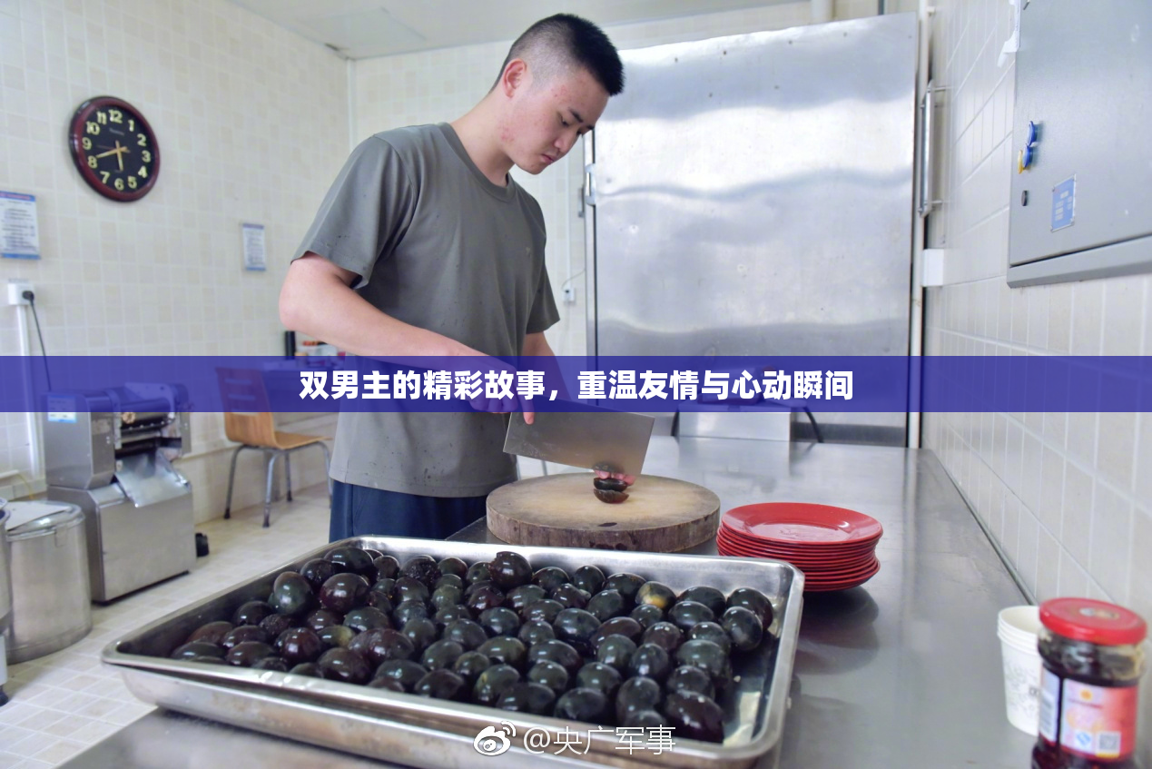双男主的精彩故事，重温友情与心动瞬间
