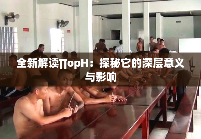 全新解读∏opH：探秘它的深层意义与影响